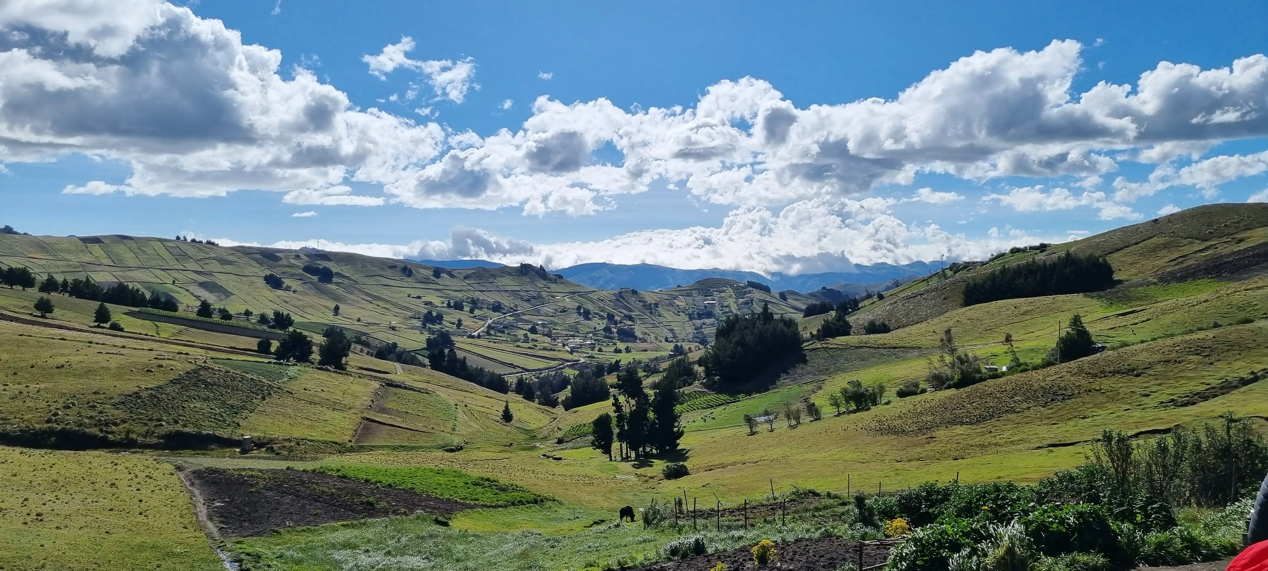 Ecuador