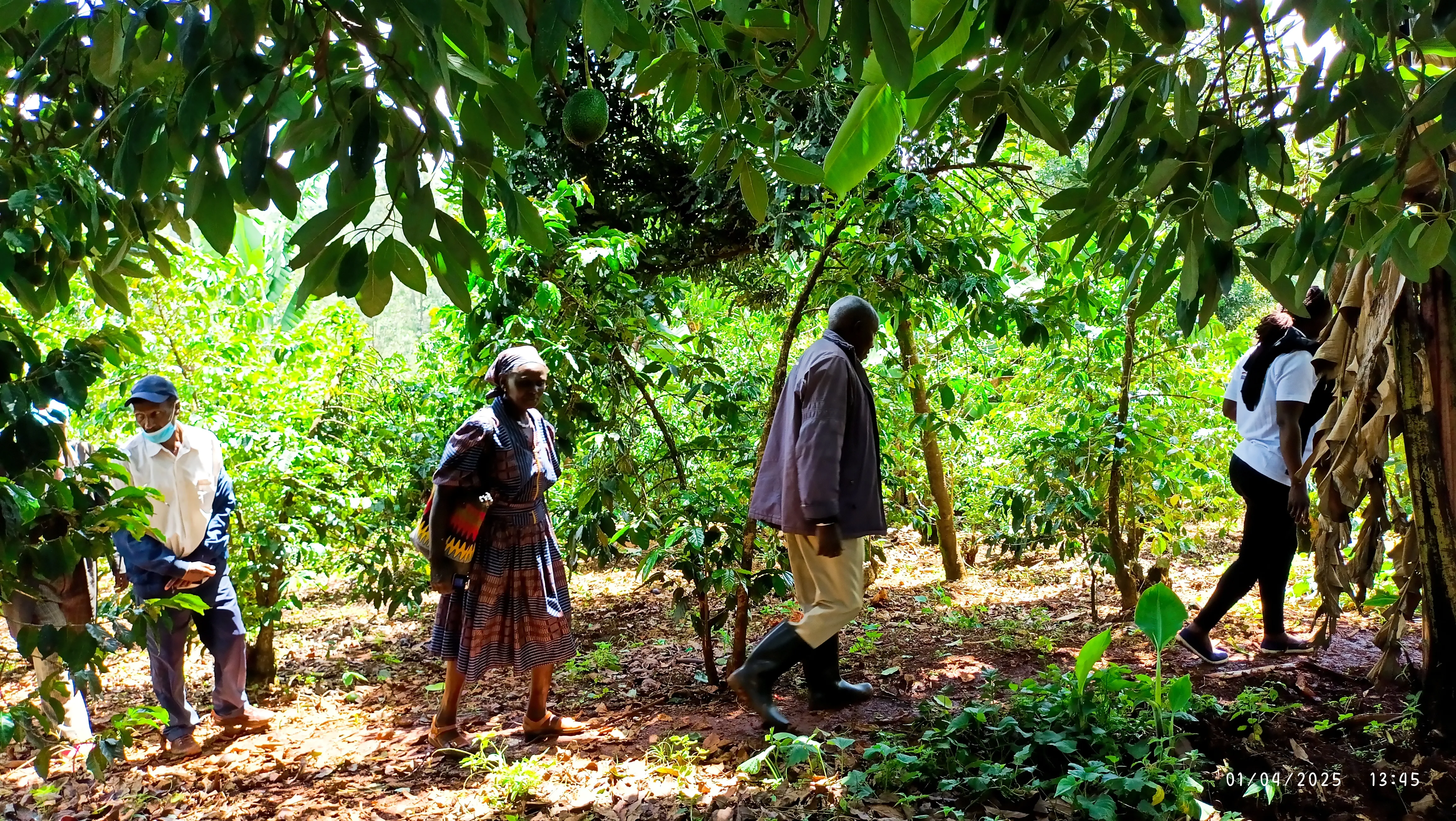 Extension Agent App