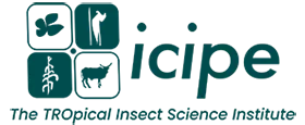 icipe