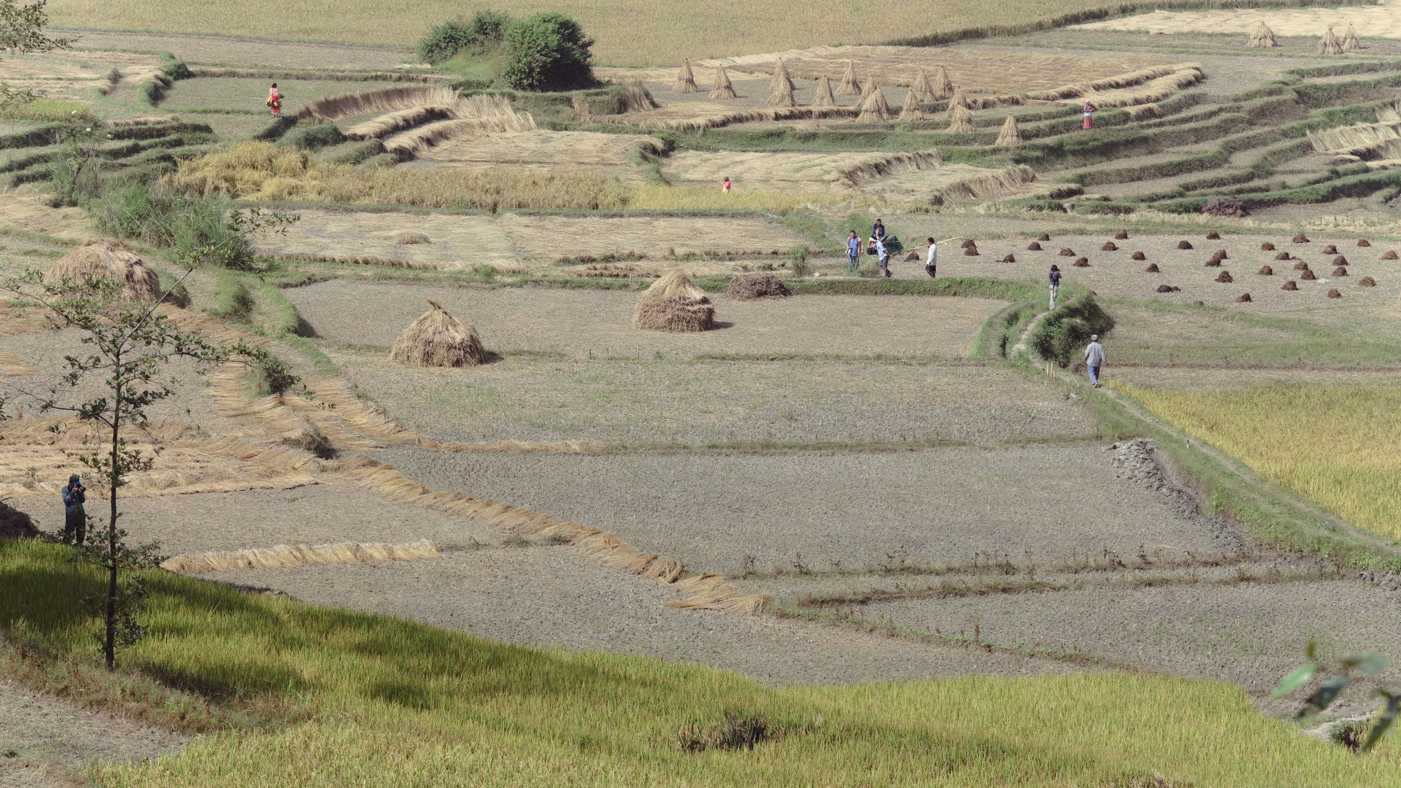 Nepal